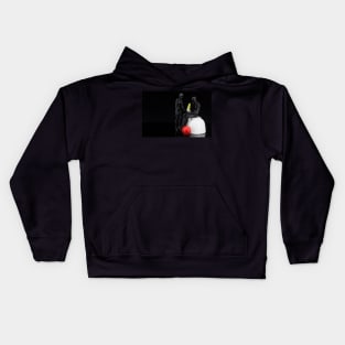 Feather Kids Hoodie